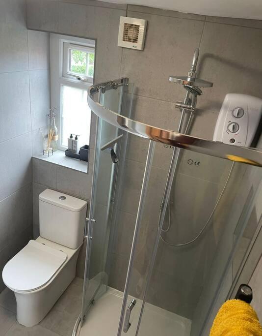 Netherton Studio Apartment 2 Rhôs-on-Sea Exteriör bild